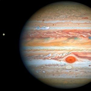 Meet your Posher, Alvin